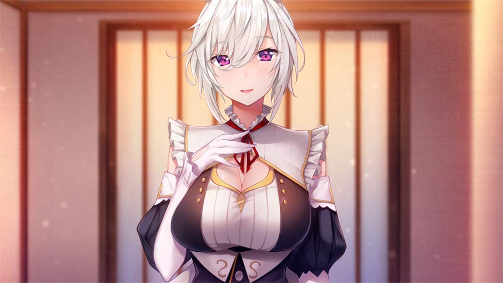 メイドさんのいる暮らし 通常版 PS4で毎日癒しを